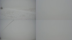 Sdružený snímek Bludný