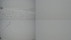 Sdružený snímek Bludný