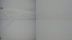 Sdružený snímek Bludný