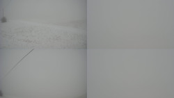 Sdružený snímek Bludný