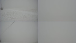 Sdružený snímek Bludný