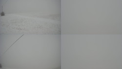 Sdružený snímek Bludný