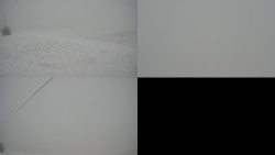 Sdružený snímek Bludný