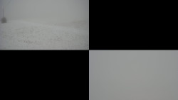 Sdružený snímek Bludný