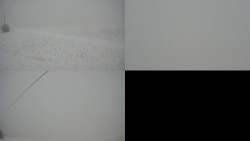 Sdružený snímek Bludný