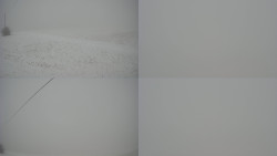 Sdružený snímek Bludný