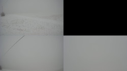 Sdružený snímek Bludný