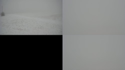 Sdružený snímek Bludný