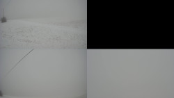 Sdružený snímek Bludný