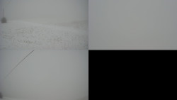 Sdružený snímek Bludný