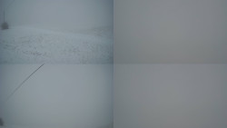 Sdružený snímek Bludný