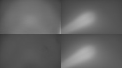 Sdružený snímek Bludný