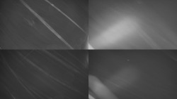 Sdružený snímek Bludný