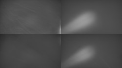 Sdružený snímek Bludný