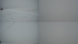 Sdružený snímek Bludný