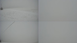 Sdružený snímek Bludný