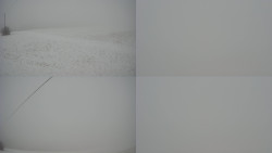 Sdružený snímek Bludný