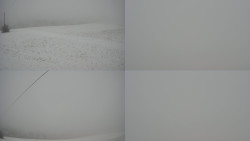 Sdružený snímek Bludný