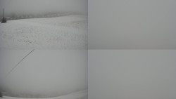 Sdružený snímek Bludný