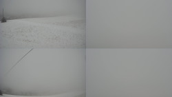 Sdružený snímek Bludný