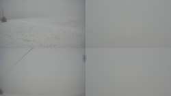 Sdružený snímek Bludný