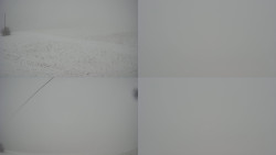 Sdružený snímek Bludný