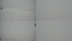 Sdružený snímek Bludný