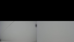 Sdružený snímek Bludný