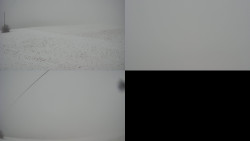 Sdružený snímek Bludný