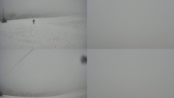 Sdružený snímek Bludný