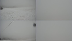 Sdružený snímek Bludný