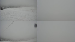 Sdružený snímek Bludný