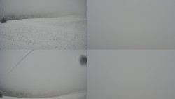 Sdružený snímek Bludný