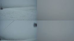 Sdružený snímek Bludný