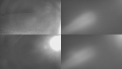 Sdružený snímek Bludný