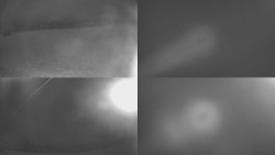 Sdružený snímek Bludný