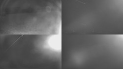 Sdružený snímek Bludný