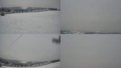 Sdružený snímek Bludný