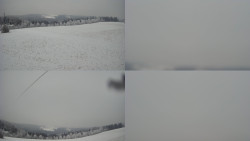 Sdružený snímek Bludný