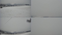 Sdružený snímek Bludný