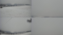 Sdružený snímek Bludný