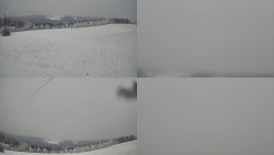 Sdružený snímek Bludný