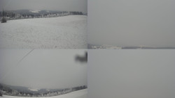 Sdružený snímek Bludný