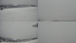 Sdružený snímek Bludný