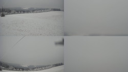 Sdružený snímek Bludný