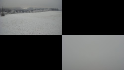 Sdružený snímek Bludný