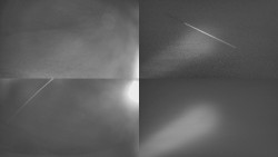 Sdružený snímek Bludný