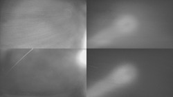 Sdružený snímek Bludný