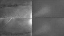 Sdružený snímek Bludný