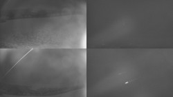 Sdružený snímek Bludný